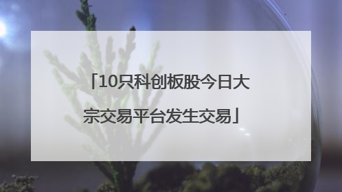 10只科创板股今日大宗交易平台发生交易