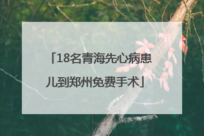 18名青海先心病患儿到郑州免费手术