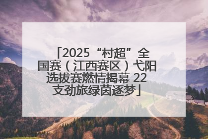 2025“村超”全国赛（江西赛区）弋阳选拔赛燃情揭幕 22支劲旅绿茵逐梦