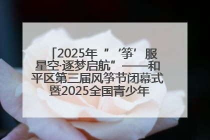 2025年“‘筝’服星空·逐梦启航”——和平区第三届风筝节闭幕式 暨2025全国青少年风筝制作放飞赛（沈阳站）颁奖仪式