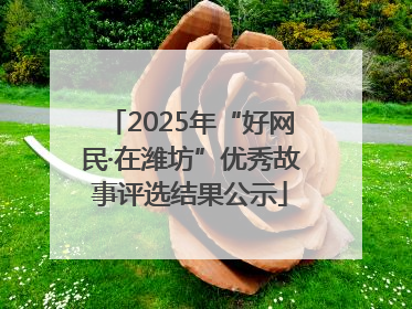 2025年“好网民·在潍坊”优秀故事评选结果公示