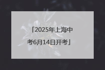 2025年上海中考6月14日开考
