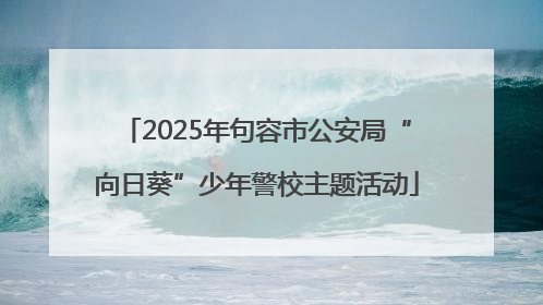 2025年句容市公安局“向日葵”少年警校主题活动