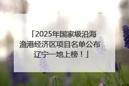 2025年国家级沿海渔港经济区项目名单公布 辽宁一地上榜！