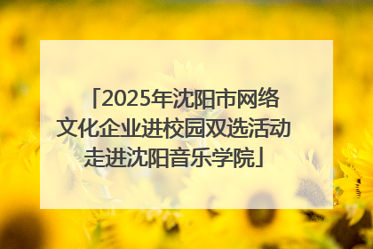 2025年沈阳市网络文化企业进校园双选活动走进沈阳音乐学院