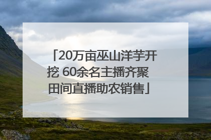 20万亩巫山洋芋开挖 60余名主播齐聚田间直播助农销售