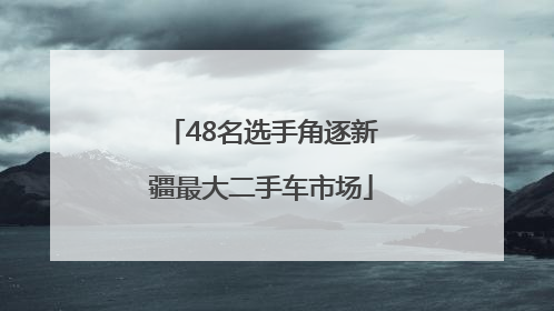 48名选手角逐新疆最大二手车市场