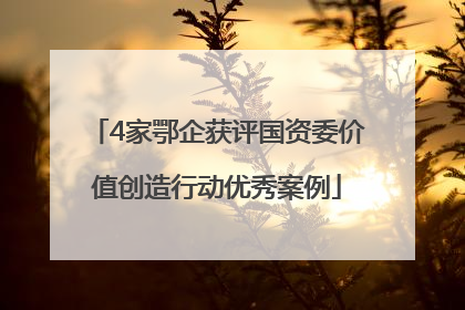 4家鄂企获评国资委价值创造行动优秀案例
