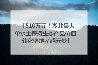 510万元！湖北最大单水土保持生态产品价值转化落地孝感云梦