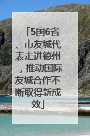 5国6省、市友城代表走进德州，推动国际友城合作不断取得新成效