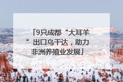 9只成都“大耳羊”出口乌干达，助力非洲养殖业发展