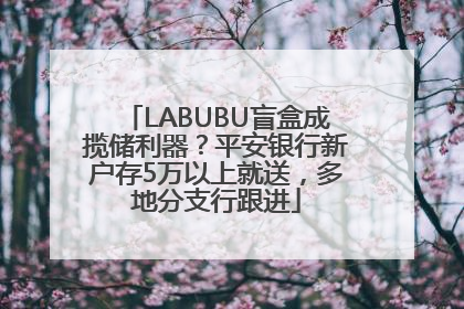 LABUBU盲盒成揽储利器？平安银行新户存5万以上就送，多地分支行跟进