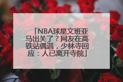 NBA球星文班亚马出关了？网友在高铁站偶遇，少林寺回应：人已离开寺院